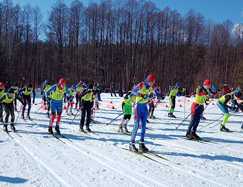Финал кубка области по лыжным гонкам
