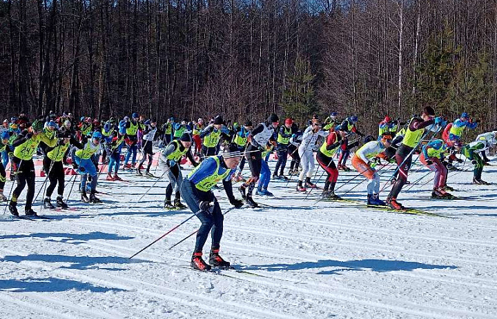 Финал кубка области по лыжным гонкам